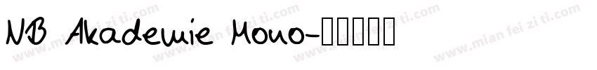 NB Akademie Mono字体转换